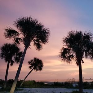 Meet your Posher, Lynn